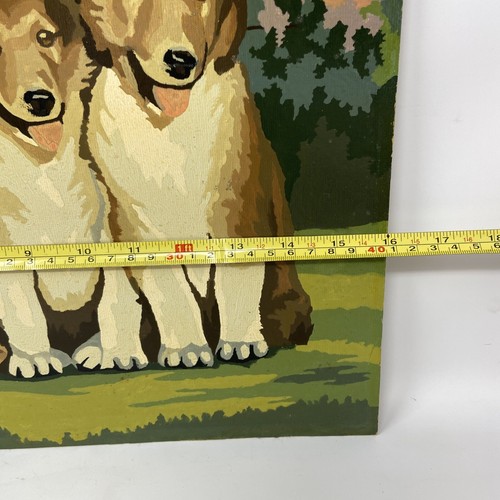 Vintage Paint By Number Picture Mother COLLIE DOG PUPPIES 16” By 20” Unframed - Picture 9 of 10