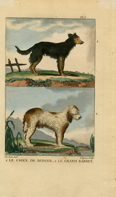 Antique Print-Dogs-The Beauceron and the big Barbet-Buffon-Seve-L
