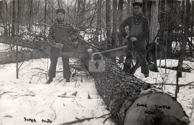 #ad Wisconsin WI Whitcomb Landing Logging c1910s RPPC Photo Postcard COPY $4.95