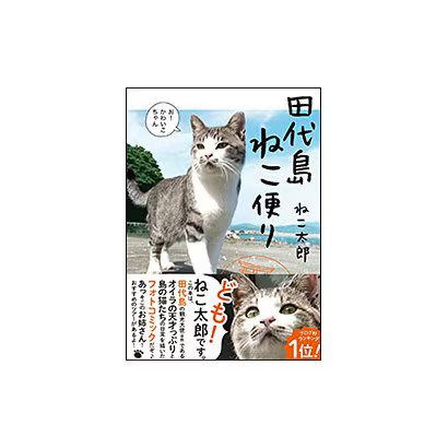 Tashirojima Cat News Hardcover Japan Import Authentic Book Collection