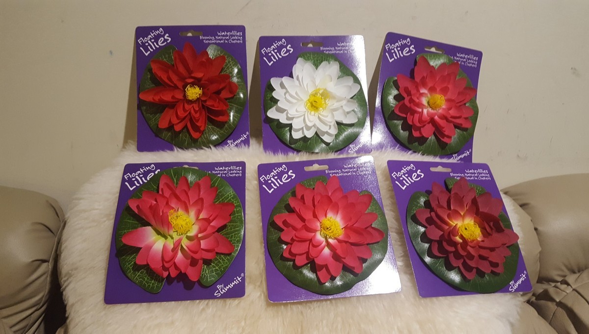 New 6 Summit floating waterlilies B | eBay