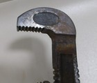 Picture 6 of 19