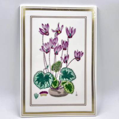 ROYAL WORCESTER FEINES KNOCHENPORZELLAN BOTANISCHE STUDIEN CYCLAMEN RECHTECKIGE PLAKETTE