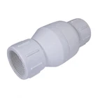 FIP White Plastic PVC Inline Check Valve for Backflow Prevention 1/4'' To 3/4''