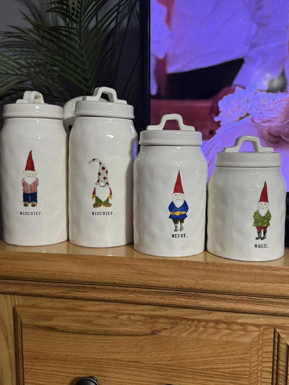 Rae Dunn Gnome Pottery Canister Set Complete RARE