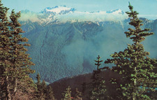 Mount Olympus in Olympic National Park - Washington WA - Postcard