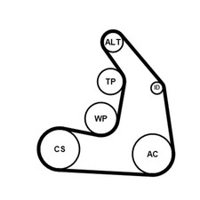 Keilrippenriemensatz CONTINENTAL CTAM 5PK1255K1 für MERCEDES KLASSE W177 Sports