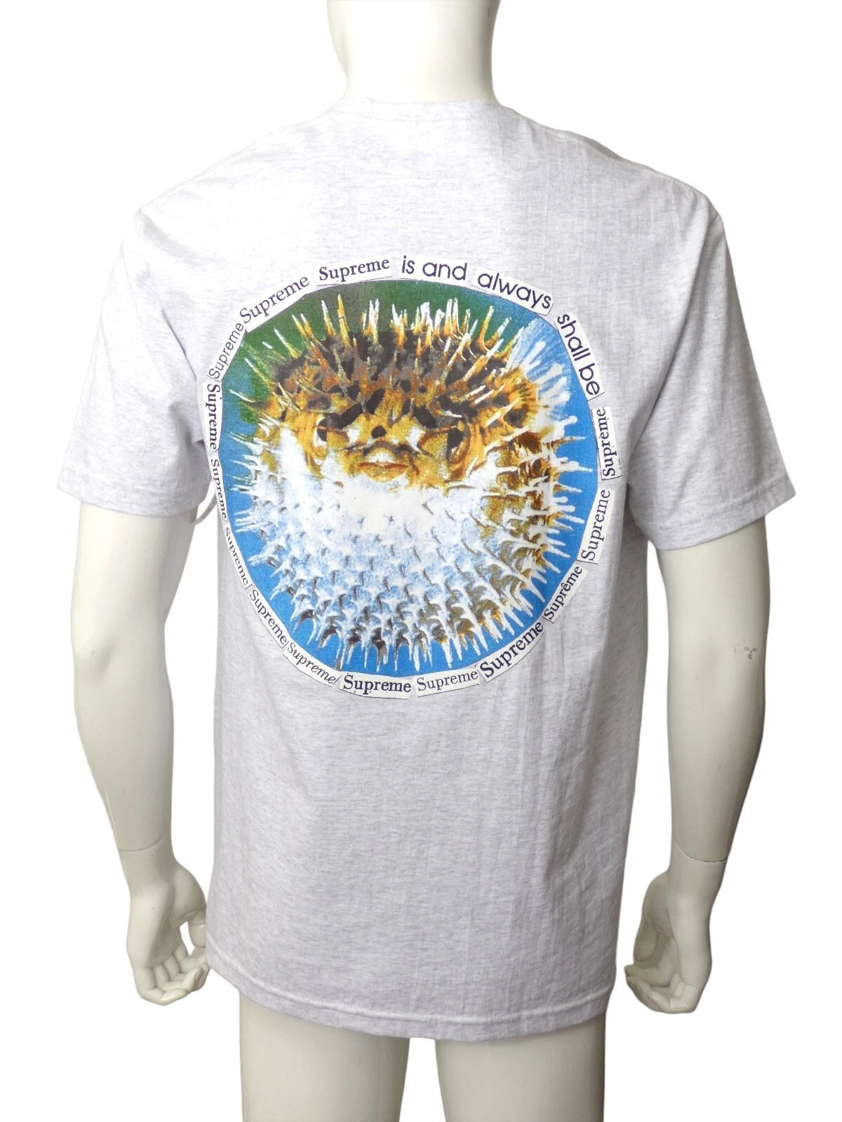 SUPREME   T shirt gris poisson soufflé imprimé graphique 2023, taille Medium