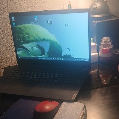 Lenovo ThinkPad T14 Notebook Intel Core i5 10. Gen 15,6'' Intel HD Schwarz