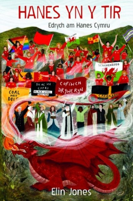 Hanes yn y Tir by Elin Jones (Hardback Book)