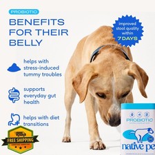 Native Pet Dog Probiotics for Gut Health 120 Scoops