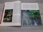 Picture 8 of 9