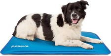 Pawple Dog Cooling Mat Pet Pad for Kennels Crates  Beds Thick Foam Base 32 x 22
