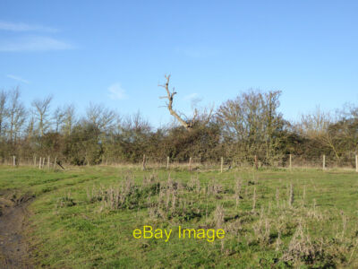 Foto 6x4 Toter Baumschenkel von A43 Biddlesden Die A43 verläuft hinter der Hecke. c2016