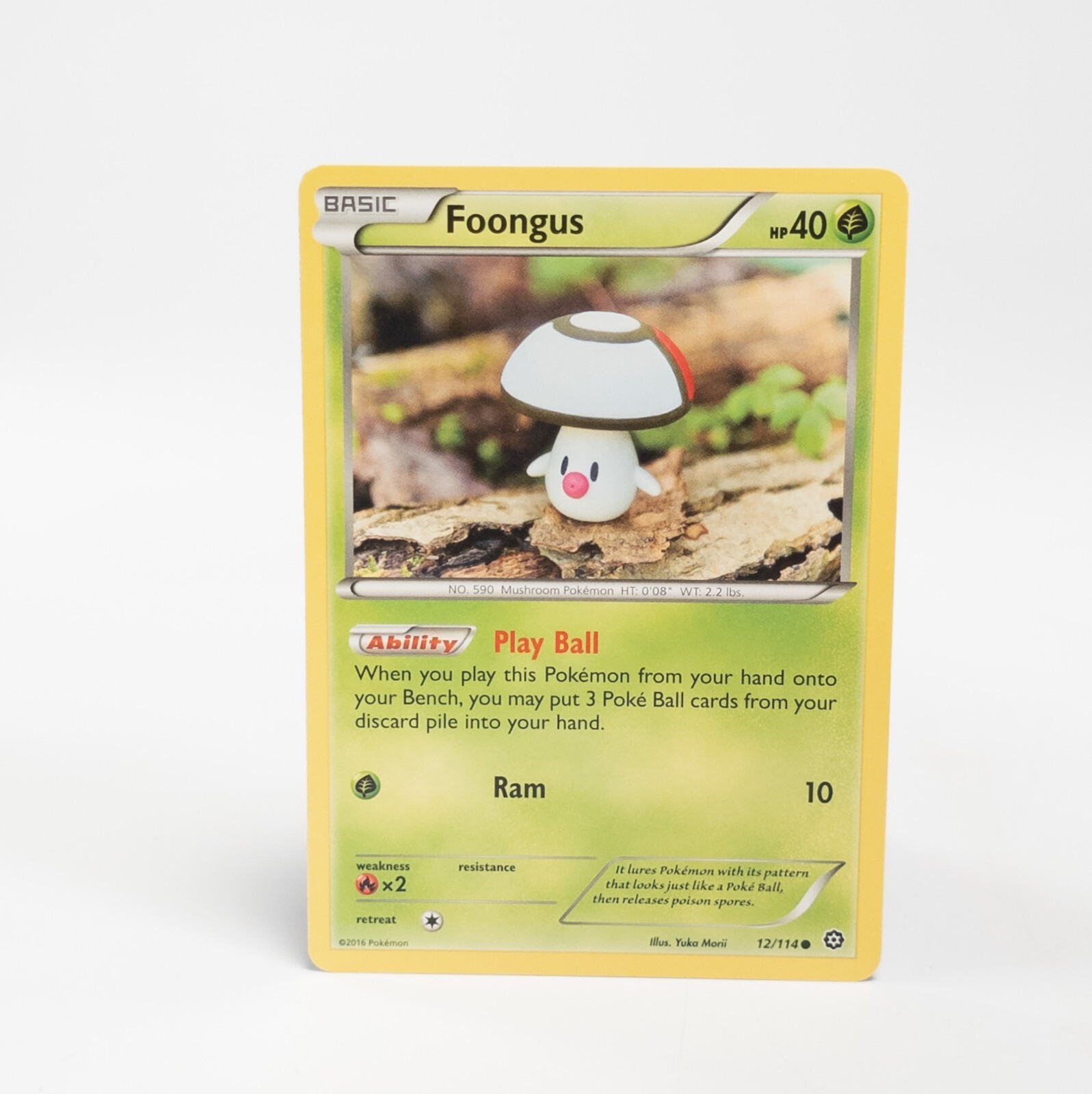 Foongus 12/114 Pokemon XY - Steam Siege Common NM