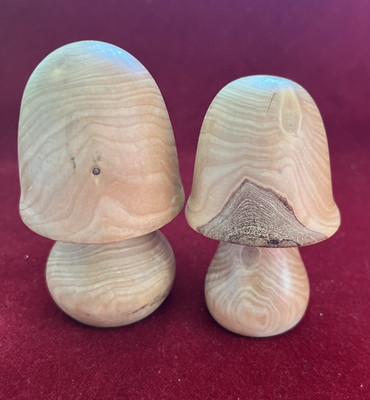 Beautiful pair of woodturning elm mushrooms, Edinburgh Botanical Garden Market