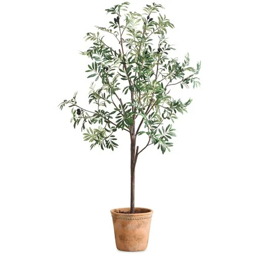 Uttermost 60241 Olea Green and Terracotta Potted Olive Tree - Picture 1 of 5