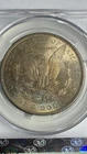 1883 MORGAN SILVER DOLLAR CAC MS63 RAINBOW GOLD BLUE ORANGE TONE TONING