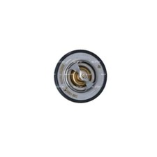 Thermostat Rover 220