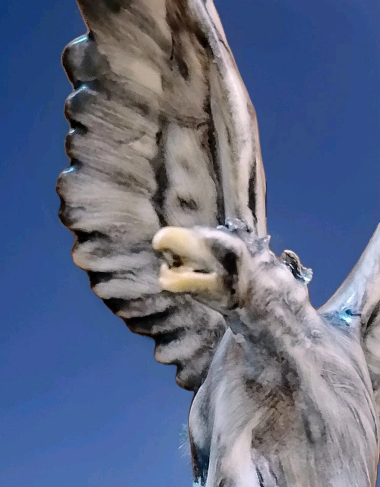 ceramica cacciapuoti - Immagine 3 di 4