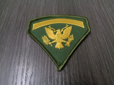 NEW US Army Specialist  E-5 Rank Patch Eagle Holding Arrows  GREEN / GOLD NEW