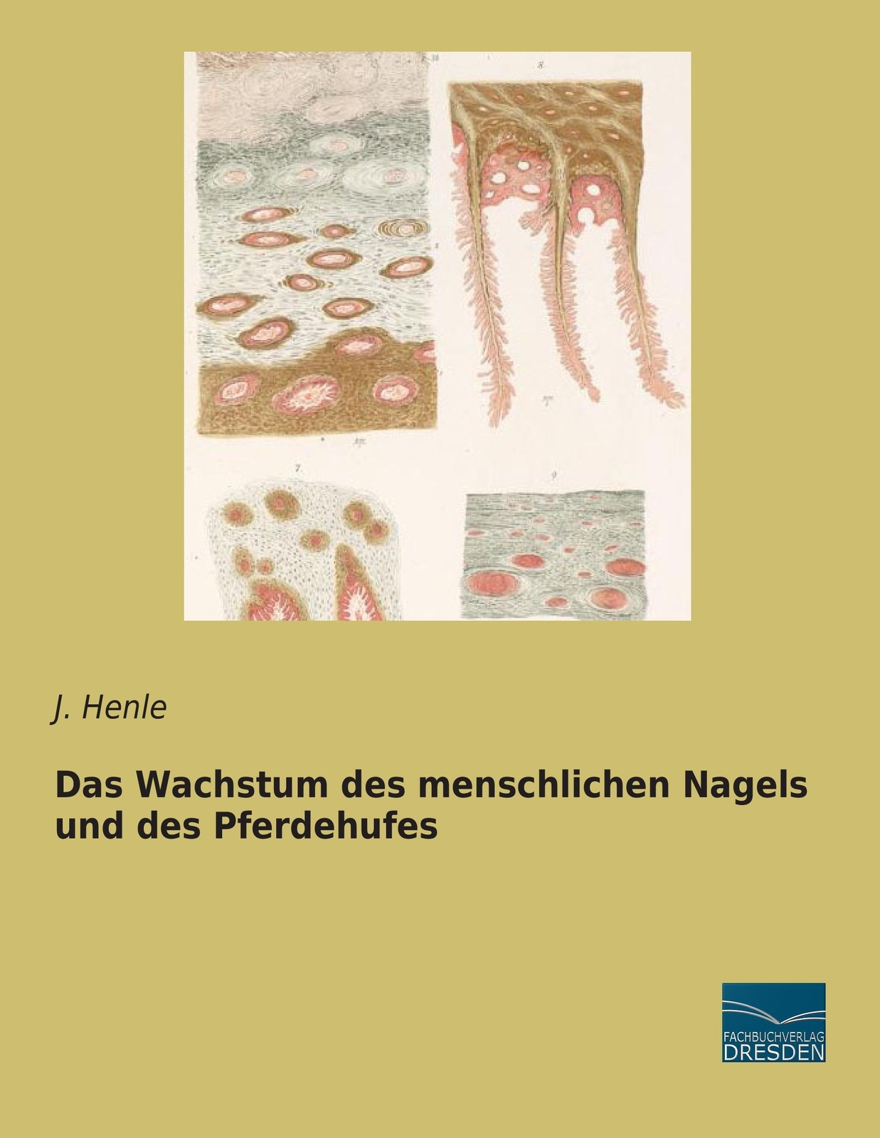 Thumbnail - J. Henle | Das Wachstum Des Menschlichen Nagels Und Des Pferdehufes |