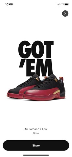 AIR JORDAN 12 LOW SE SUPER BOWL MENS 