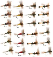 Attractor Trout Fly Fishing Flies Collection 24 Flies + Fly Box on sale Attractor Trout Fly Fishing Flies Collection 24 Flies + Fly Box on sale