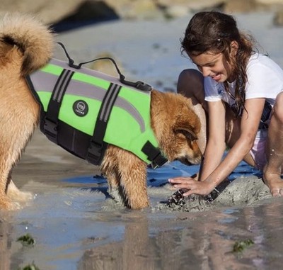 EMUST Reflective Dog Life Jacket Rescue Handle Quick-Release Buckle XL Mesh