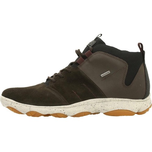 Geox marrone pelle unisex scarpe da ginnastica Trottolla - Scarpe per  bambini • Differenta.it