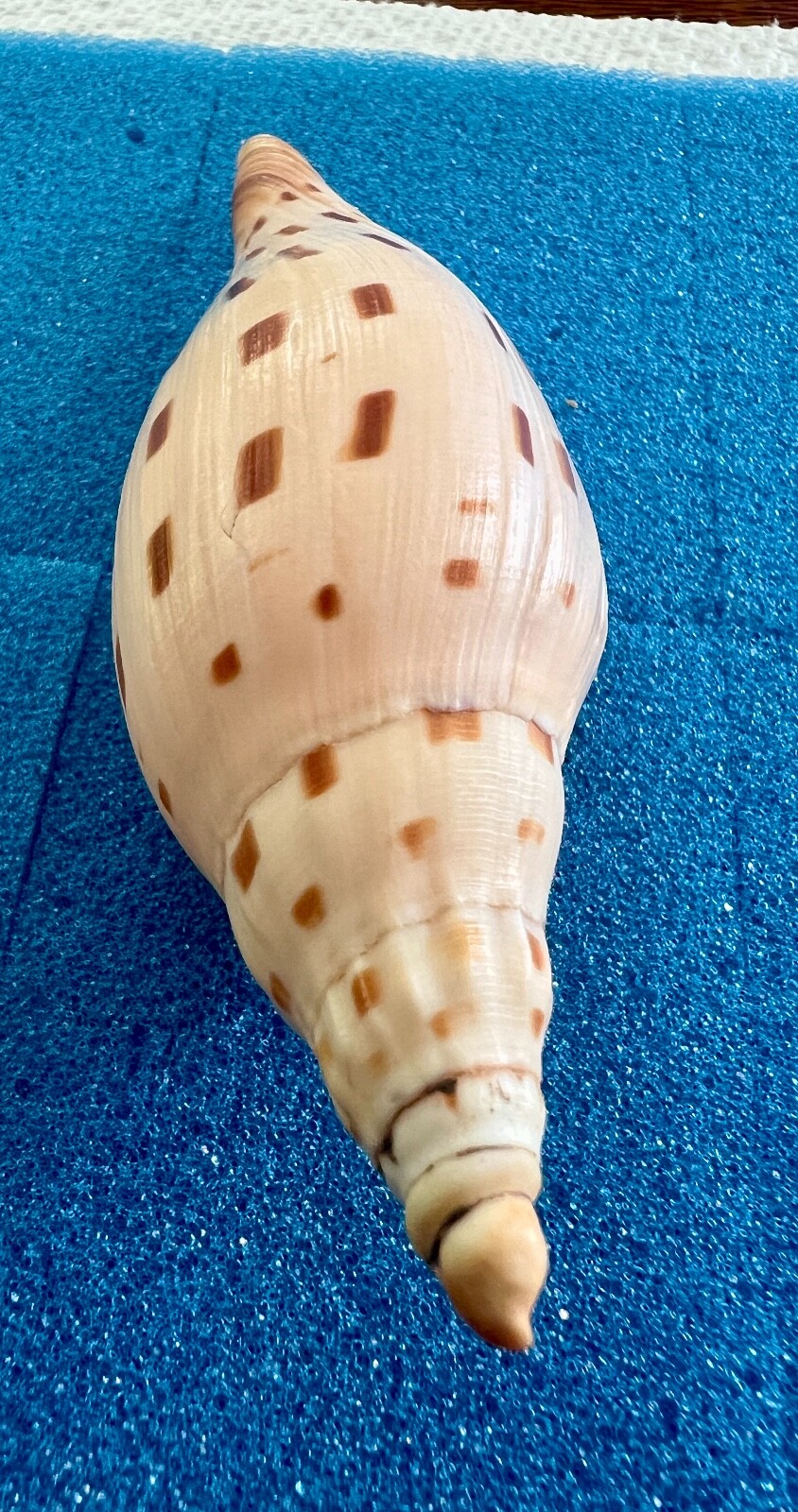 Picture 5 of 15