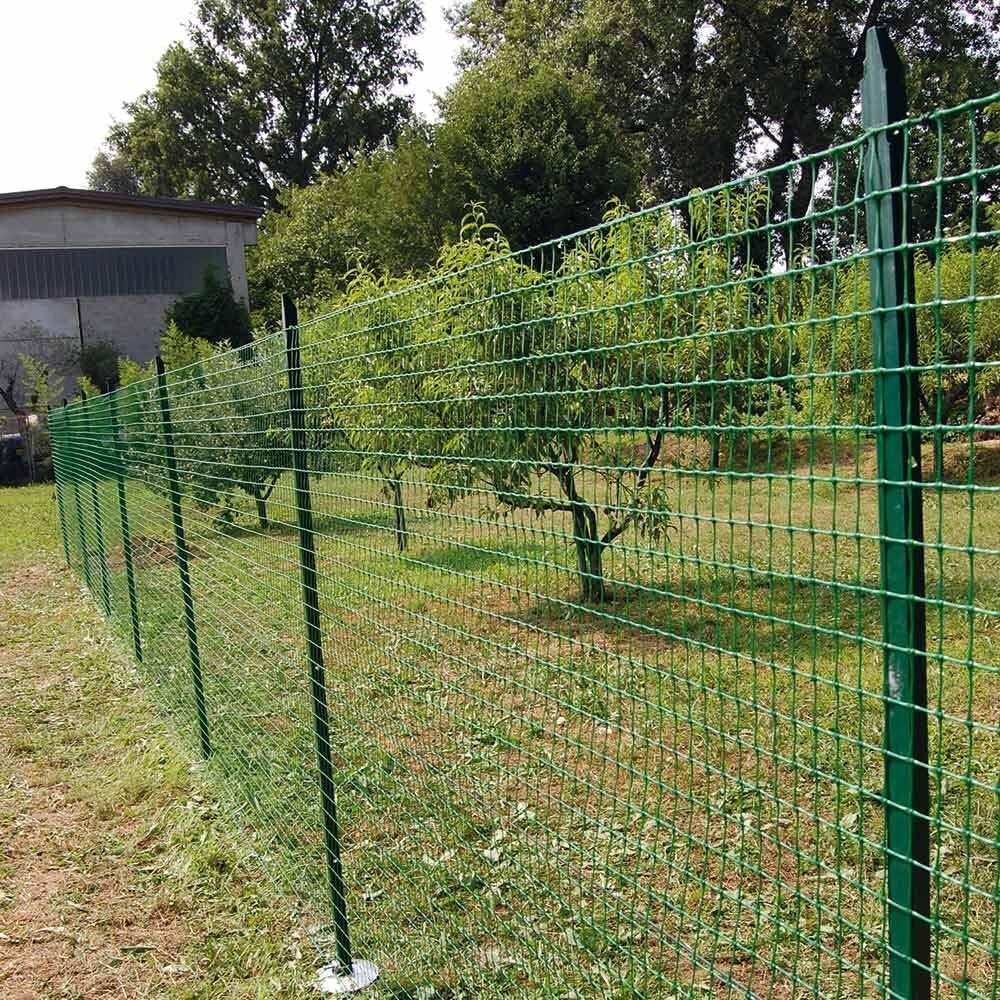 Foto 42 di 54