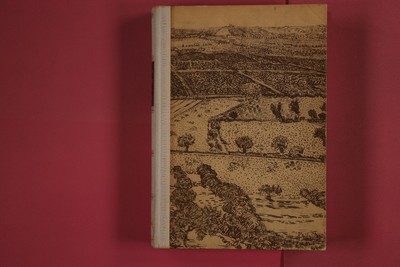 276203 Irving Stone VINCENT VAN GOGH Deutsche Buch-Gemeinschaft Ein Leben in
