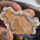 Beautiful Banded Kentucky Agate Slab Slice Lapidary  42g — photo 3
