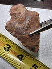 ​2.2" Colorful Brecciated Jasper Morrow Mountain/Kirk Point- Hidden Translucency — photo 5