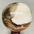 Natural Petrified Wood Polished Stone Quartz Crystal Sphere Ball Healing 1200G — photo 10
