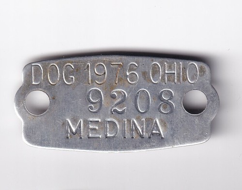 1976 MEDINA OHIO DOG LICENSE TAG #9208 - 第 1/2 張圖片