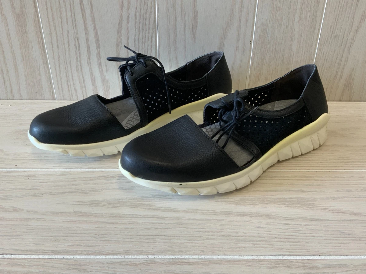 NAOT WISDOM 41 - www.alroeya-alarabiya.com