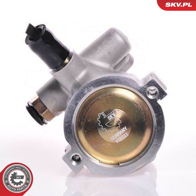 Fits ESEN SKV 10SKV141 Hydraulic Pump, Steering  ⭐UK Stock⭐
