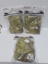 3 Reindeer Moss Light Green 2.5 Oz New.