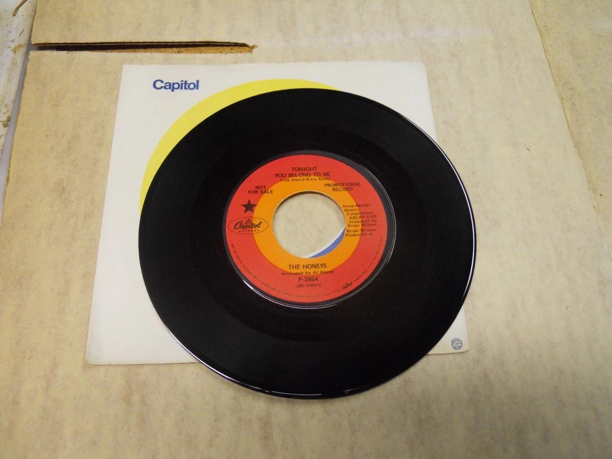 Brian Wilson アナログレコード 12インチ Brian Wilson - On Tour - RSD 2026 on 12