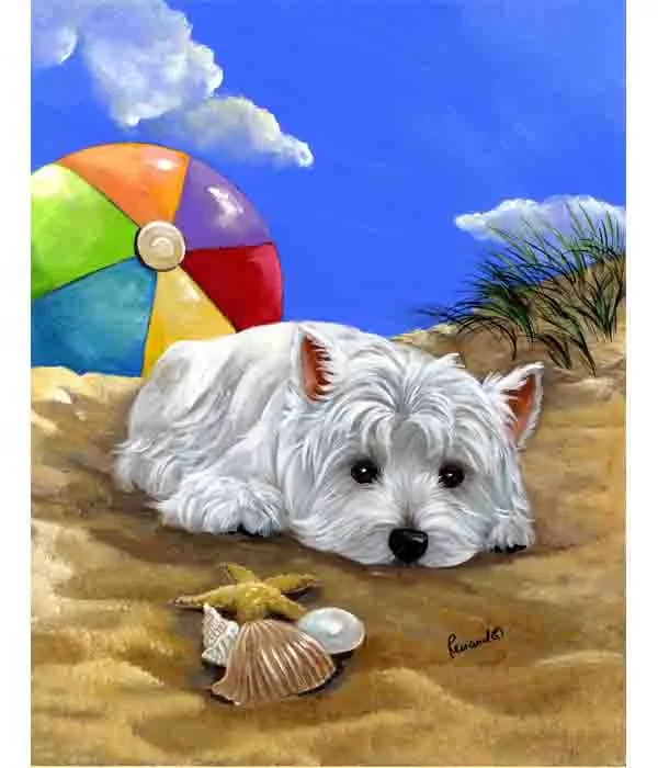 Baby westie best sale