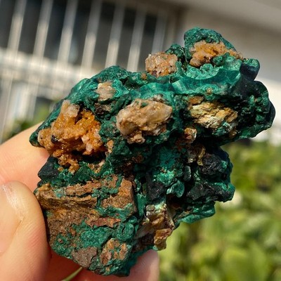 76g Natural Velvet Malachite Crystal Cluster Gorgeous Green Needles -Congo