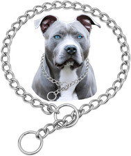 Dog Choker Collar, 304 Choke Collar for Dogs Metal Slip Chew Proof, XL