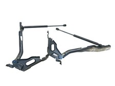 Motorhaubenscharniere FORD F-150 Lightning Blue