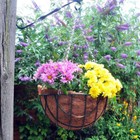 Bild 6 von 6