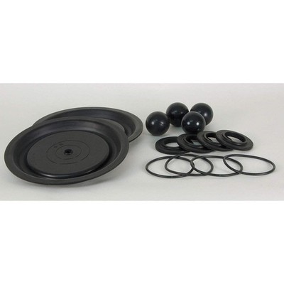 DAYTON 22A617 Pump Repair Kit,TPV,For 22A599; 34TJ46 22A617
