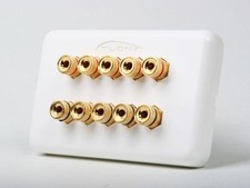 5 Speaker 10 Binding Post Banana Jack Wall Face Plate Surround Sound White