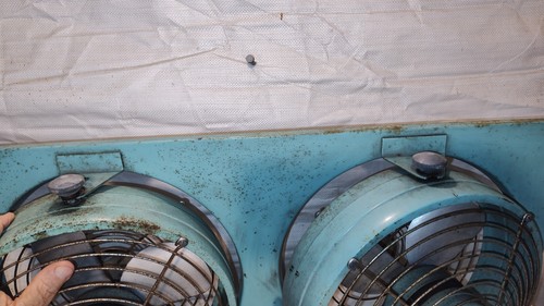 Vintage Eskimo Model 1012A Turquoise DOUBLE FAN WORKS RARE FIND - 第 11/16 張圖片