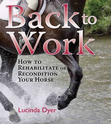 Back to Work By Lucinda Dyer